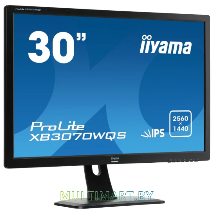 Монитор Iiyama ProLite XB3070WQS-B1